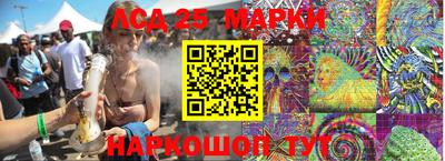 крисы Новодвинск