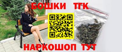 крисы Новодвинск