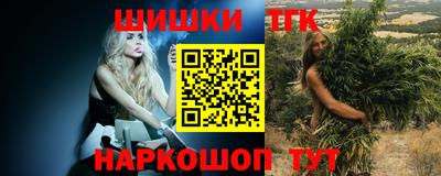 крисы Новодвинск