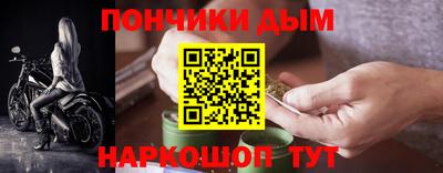 крисы Новодвинск