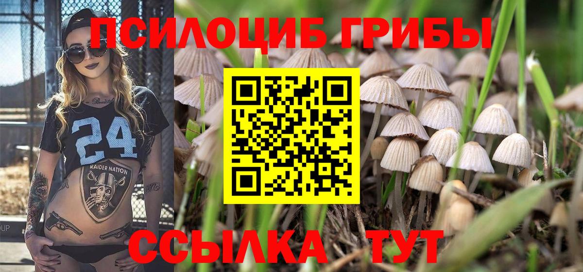 Галлюциногенные грибы мицелий  Псилоцибиновые грибы Cubensis  Сыктывкар  Вход с VPN 