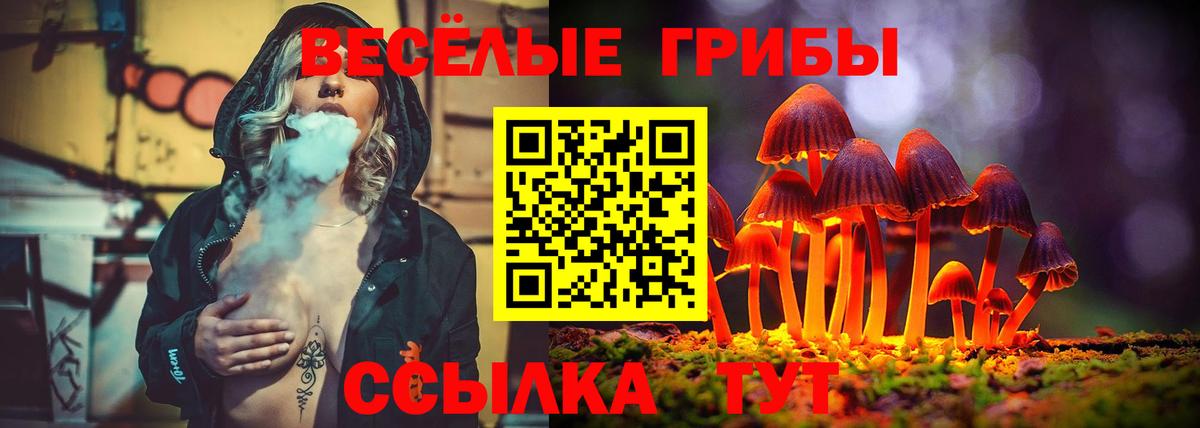 НБОМе  Cocaine  Сыктывкар  ГАШ  Каннабис  Меф МЯУ МЯУ кристаллы  Вход с VPN 